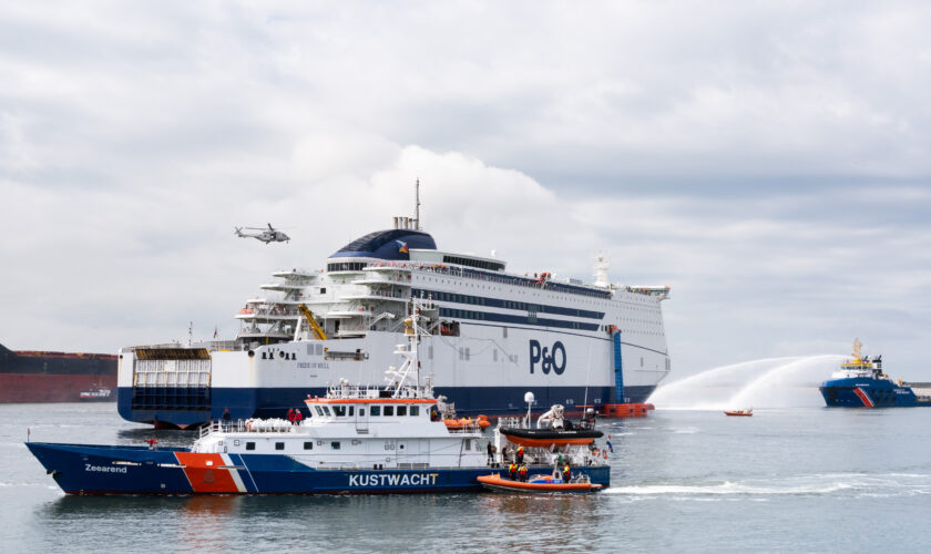 Zeearend en Guardian nabij P&O-ferry tijdens LIVEX 2019